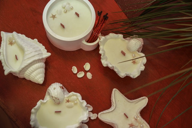 Pearls & Salt Collection