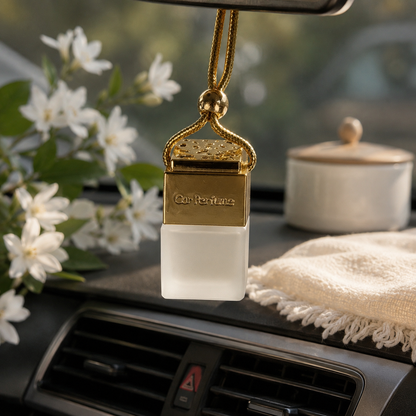 Car Diffuser