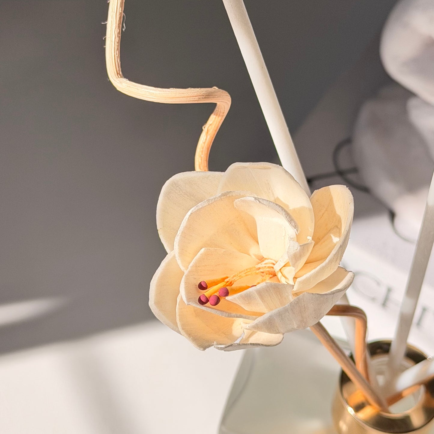 Reed Diffuser