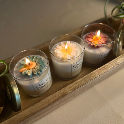 Oopsie Daisy... Sage Green